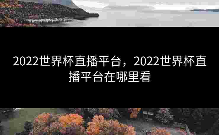 2022世界杯直播平台，2022世界杯直播平台在哪里看